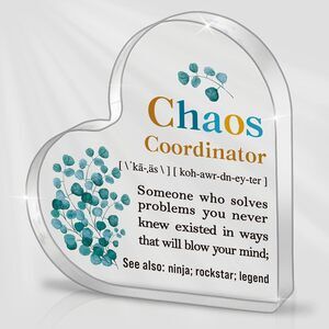 Chaos Coordinator Appreciation Gifts for Coworkers, Friend, Thank You Gifts
